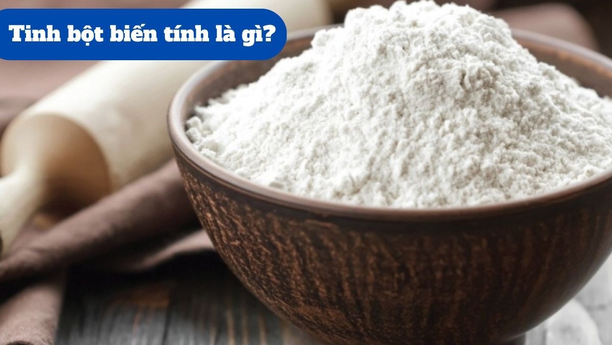 Định nghĩa tinh bột biến tính là gì?